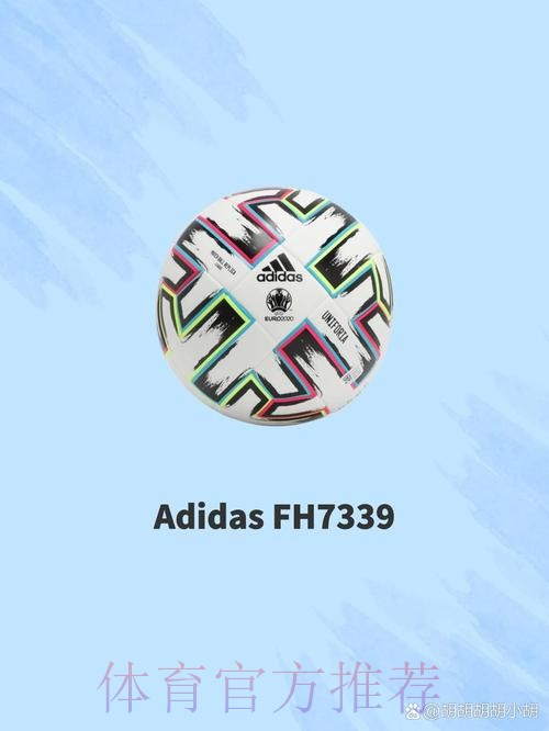 用发现美的眼睛重新定义足球 创立的“绿茵侠”足球人格教育品牌 用发现美的眼睛重新定义足球 创立的“绿茵侠”足球人格教育品牌