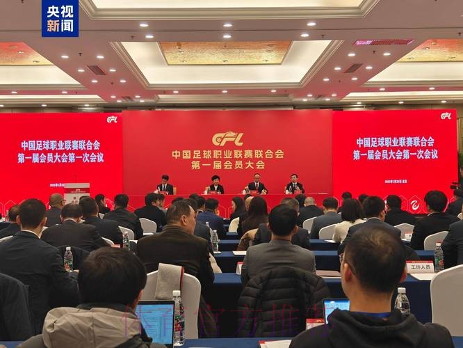 中国足球协会召开第十届第八次执委会 中国足球协会召开第十届第八次执委会